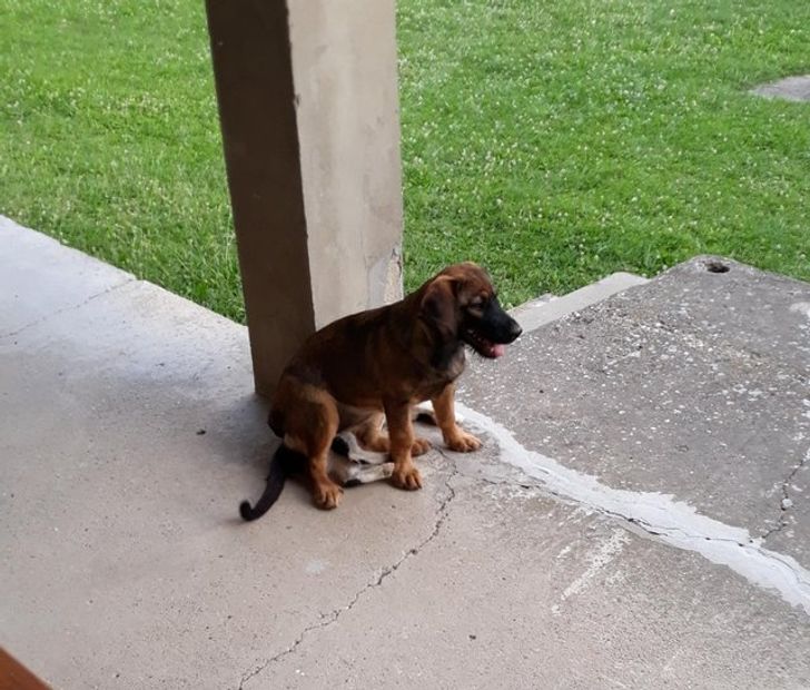 6bf2735cb98ffd81de7b882356