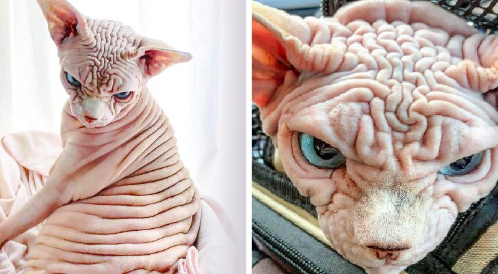 6bf43b50a0a5e47f91b6f1e474