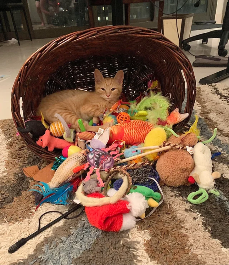 6bfba95d198f5f38392c1a6f99