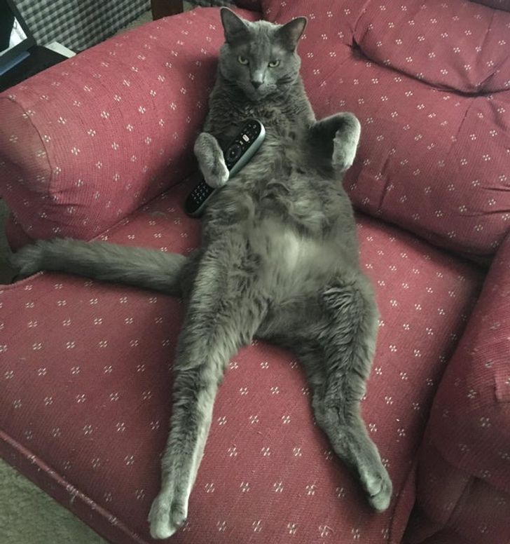 6c07ff599aa553eaf2da1cbb50