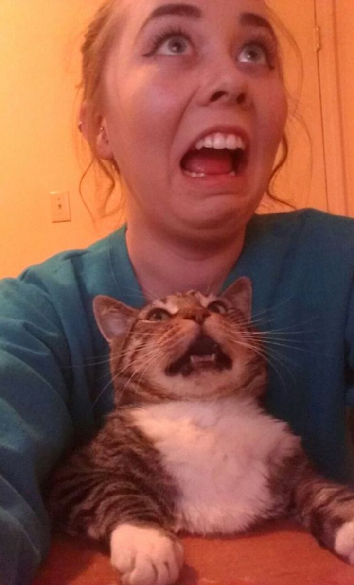 6c0dd65be39e28e065965926d0