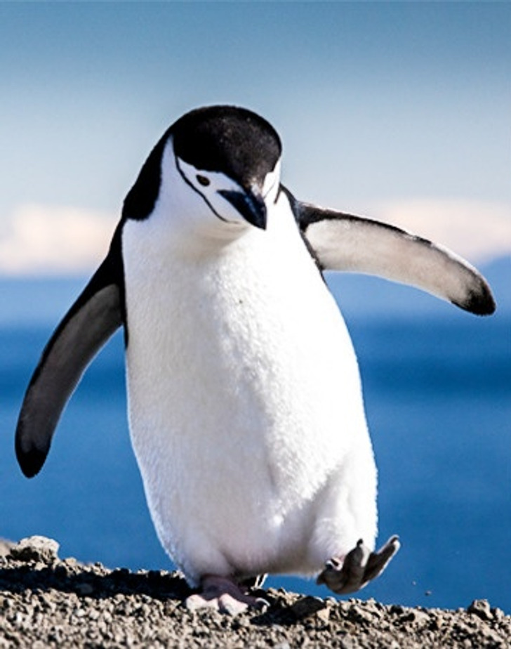 6c14835728ad057b4fe3c36a82