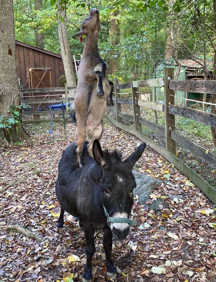 6c201f5006904191bf72ff2cfd