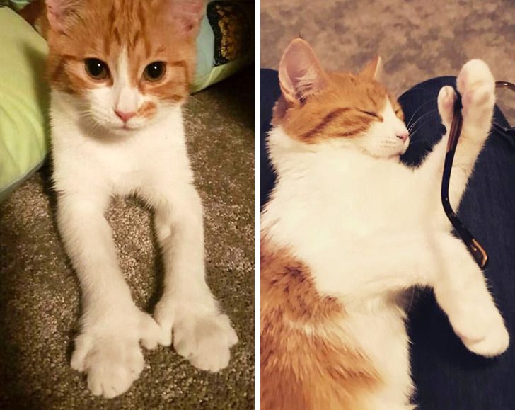 6c223f50cab00fcc683d64e0aa