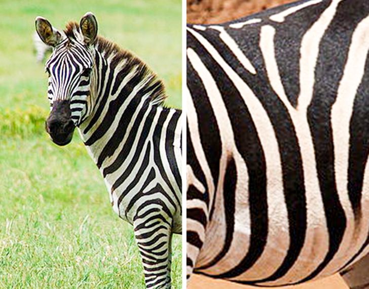 6c236c550692d210b64aab14e5