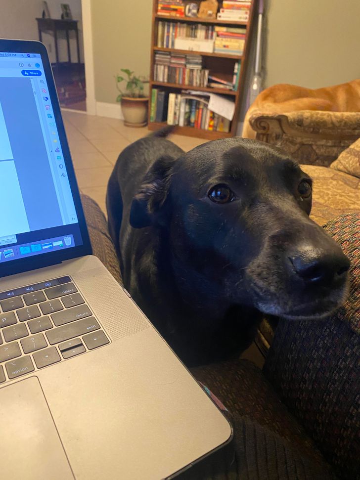 6c252958b6b3ae468ad4700893