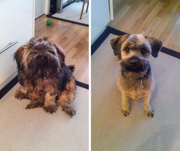 6c2df45a1e9d0536c984dd837e