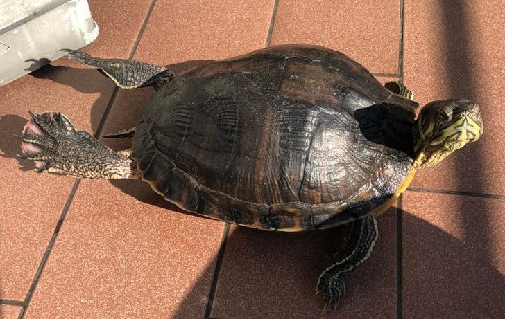 6c2f275839a441817bb37e7be3 6c2f275839a441817bb37e7be3