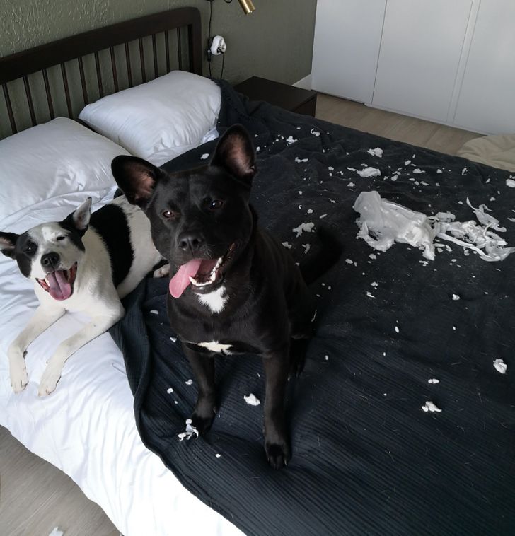 6c30d650e5b9b281bd3f37acde