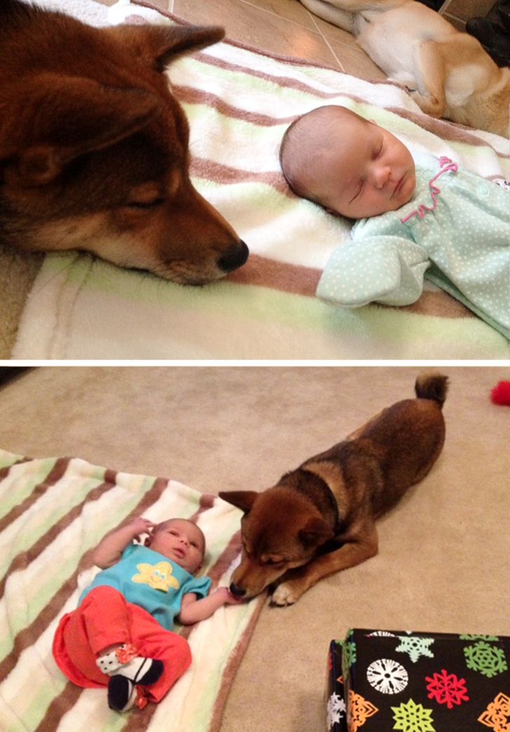 6c38b85be3a36980ff58986227