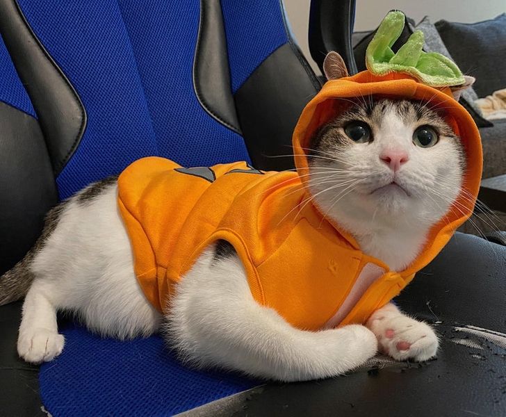 6c3fb7537ea5bcf8f40da85fb7