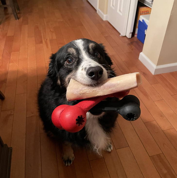 6c3fda59d1b168400232dd077f