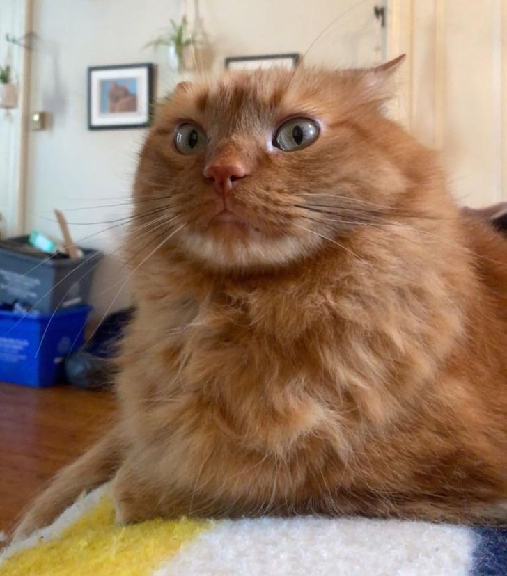 6c404556998c17fff55b0b49ca