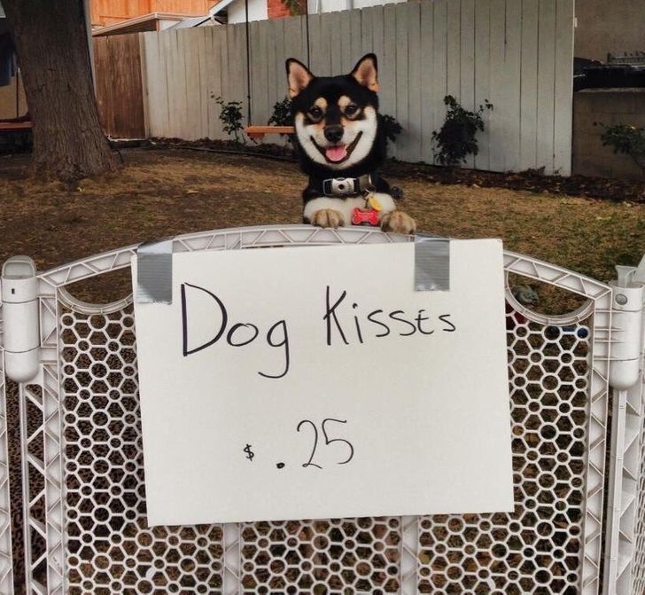 6c448d5dc1950e104d9b5ab39a