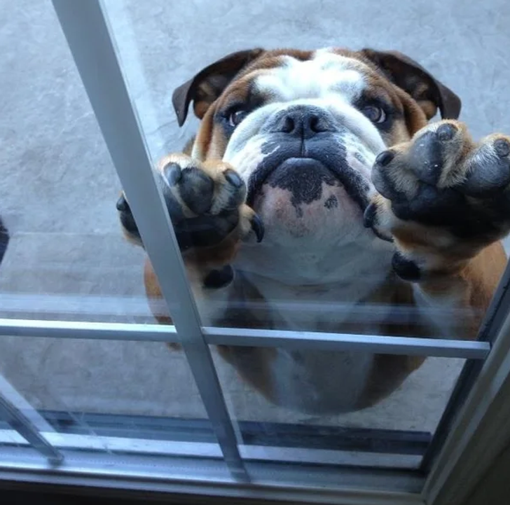 6c493154dfa85efe524504aef4