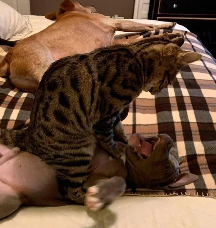 6c540b5589861fa18da85c2998