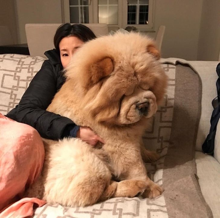 6c56a75512b3b942fcad207e02