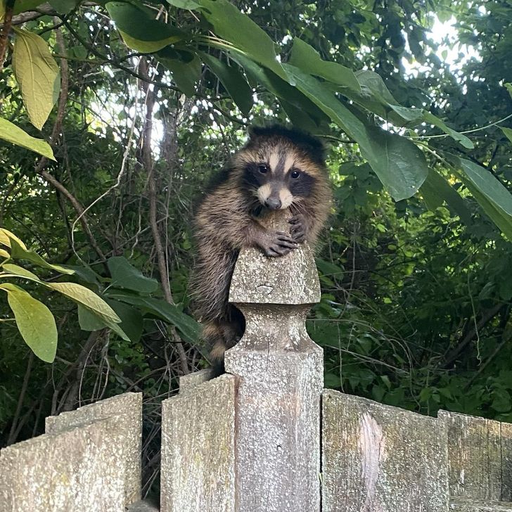 6c605751c8b579562d5b5dead1