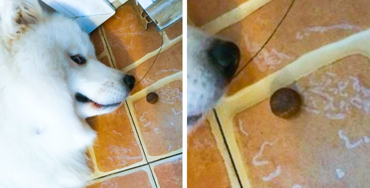 6c6d9c5ca88b4645fae055e37e 6c6d9c5ca88b4645fae055e37e