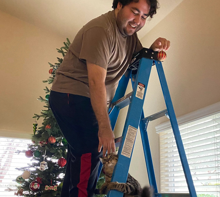 6c6e4151a5880aac8f019209af