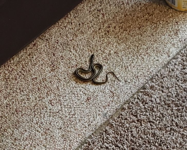 6c733c5585b6610c5a68ca1284