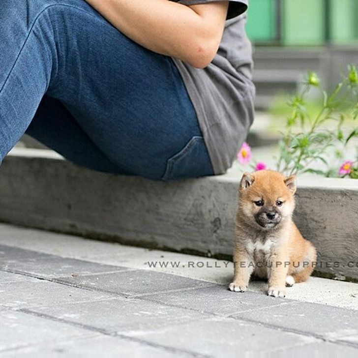 6c77d553faa549c02b251b9917