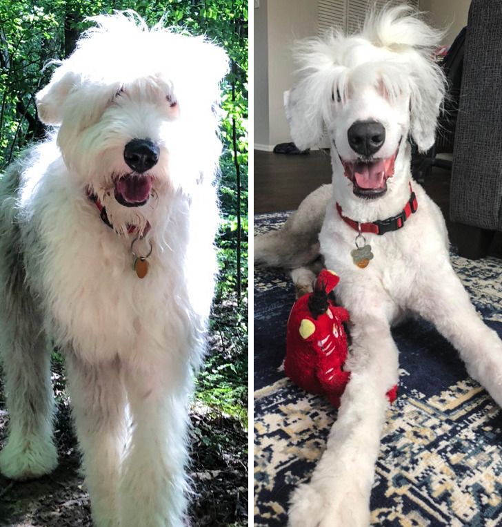 6c7acb5525a20d4ddb0e81398c