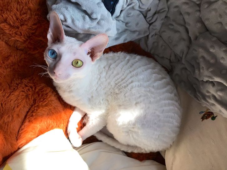 6c7ec458eb82780715d3a1bfec