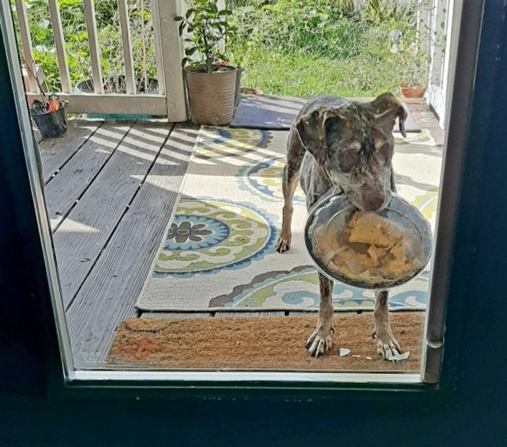 6c800b5cf7901768cf9da321c5