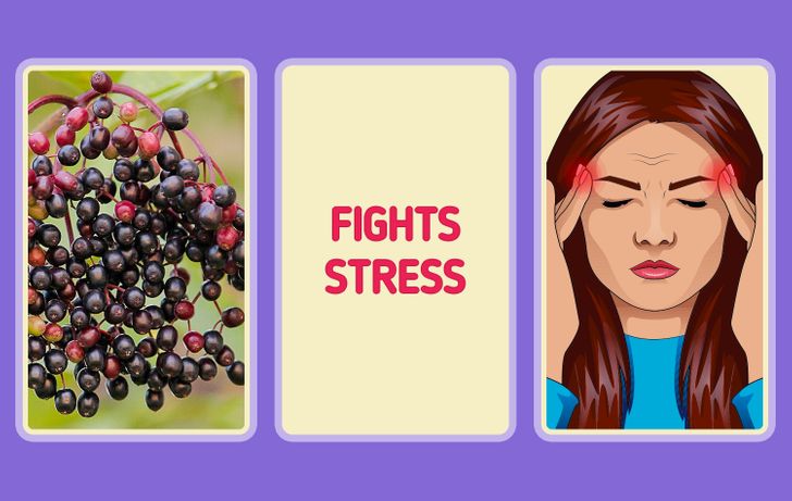 6c89885ba4b8a0842f0d8deaad