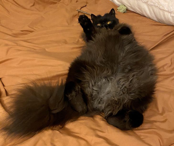 6c8daf57dd9b15dd6c7363ab62