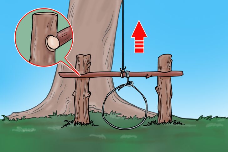 6c941d52b08cc6bf62bb75c12f