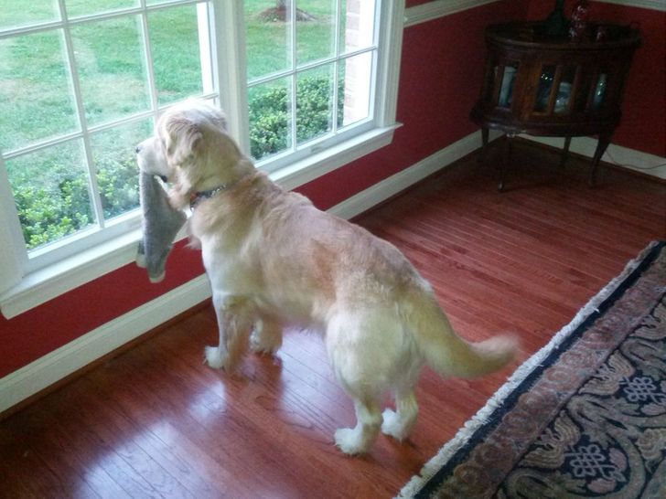 6c971a52fe891835e0dc73fbff