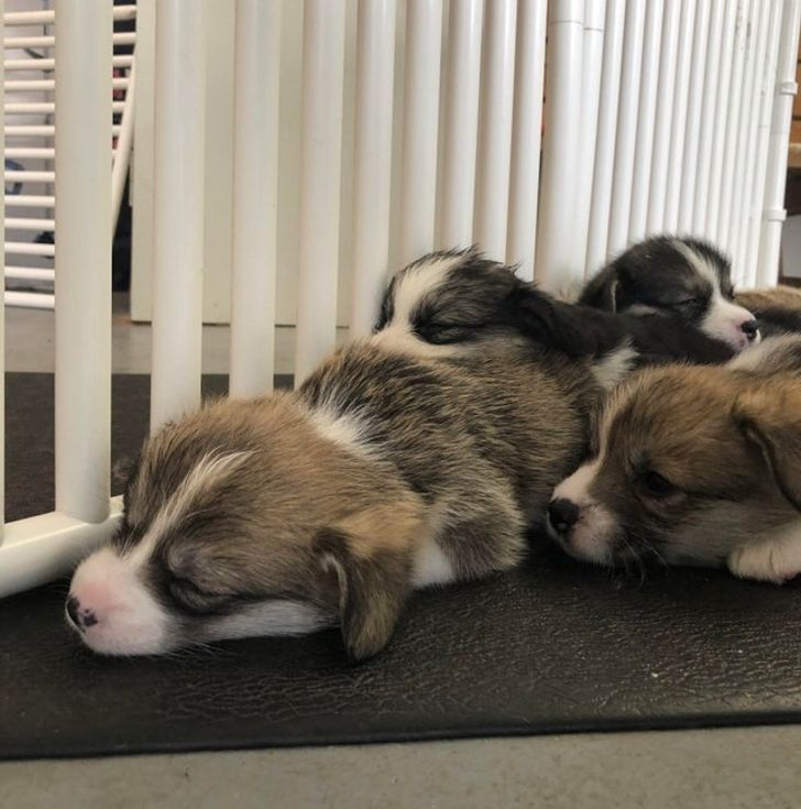 6c9dd35d4a9d47277304baa7f1