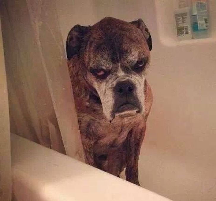 6ca04e55b9a0d2dc0d0c891236