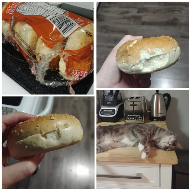 6ca57752cd9260a0574ea5de57