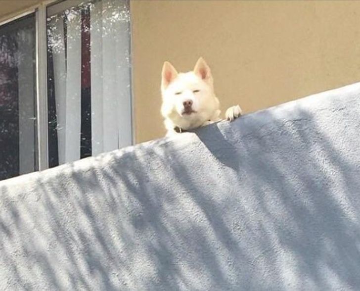 6ca8a655109d0263475241ea33