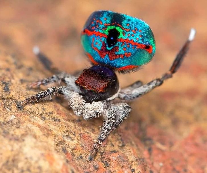 6cabf556429d921283b5106f29