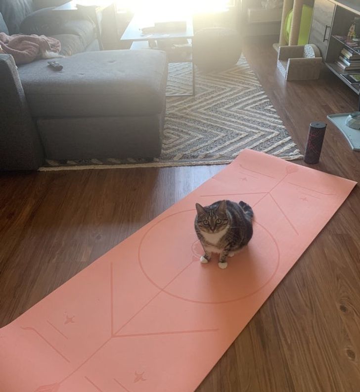 6cad0a584a854db9a4f74dd95f