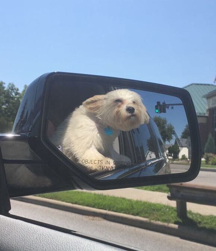 6caea25d84ab93c4cdcc625e95