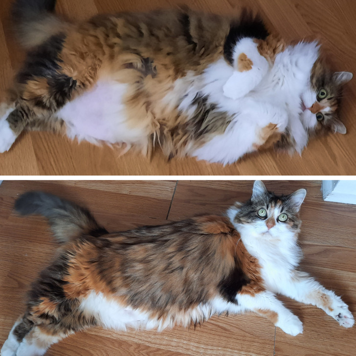 6caeef5dcfa4d089dba26873ab