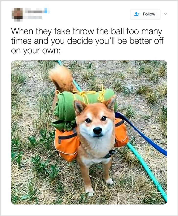 6caf0350f5bbc45d796f88e248