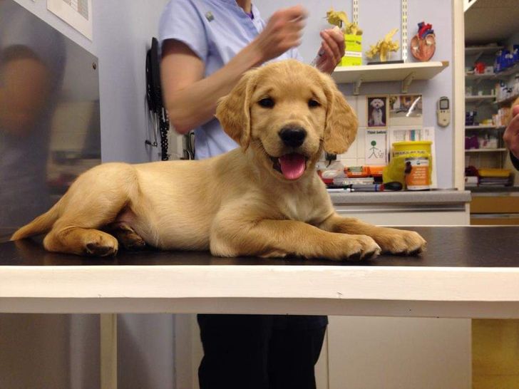 6cb3bb560ea5122dce5c37c276