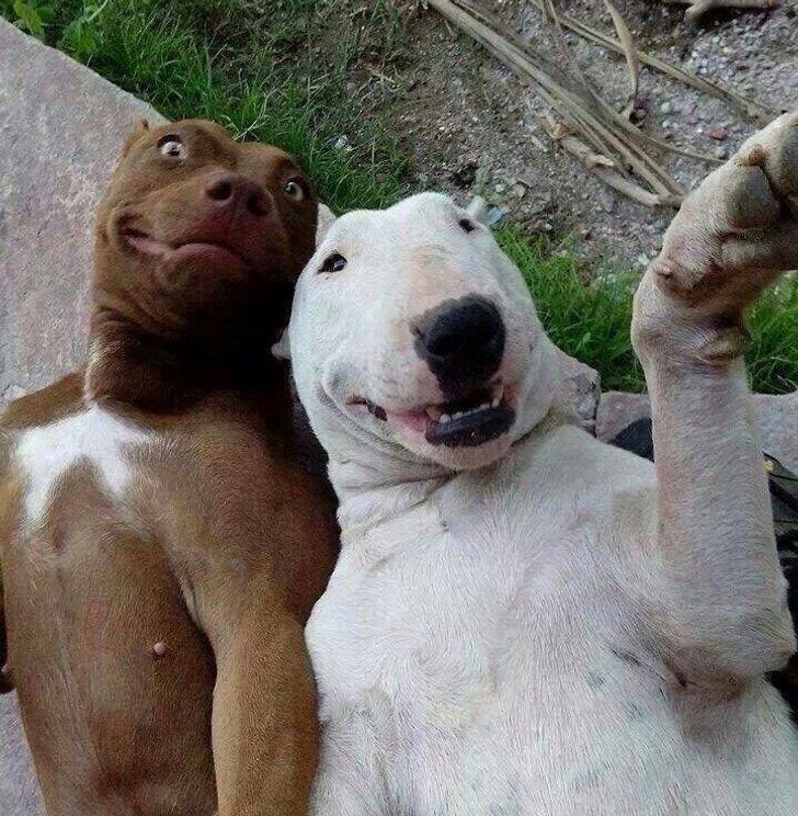 6cc15859449b2cb2c34c24f751