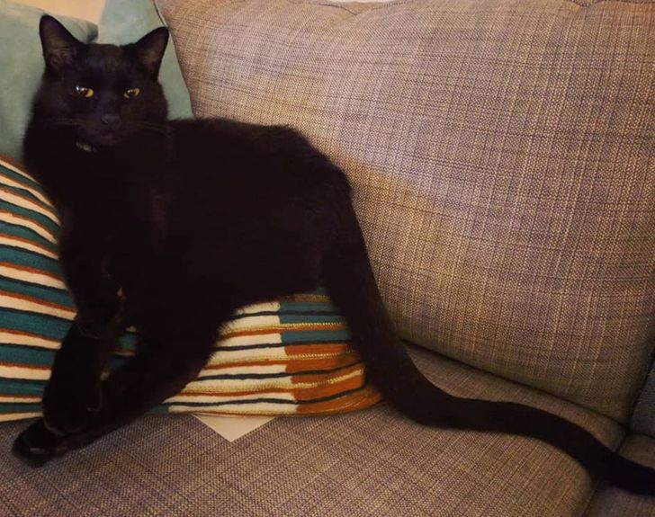 6cc221562ca0a390f842eb8ed0