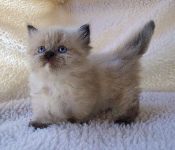 6cc93e5b17b5a12538b7cc67e8