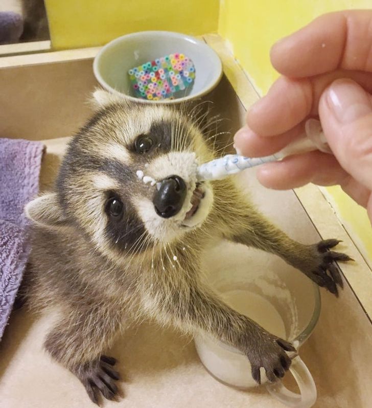 6cd27850a984b39a2668cf0c7d