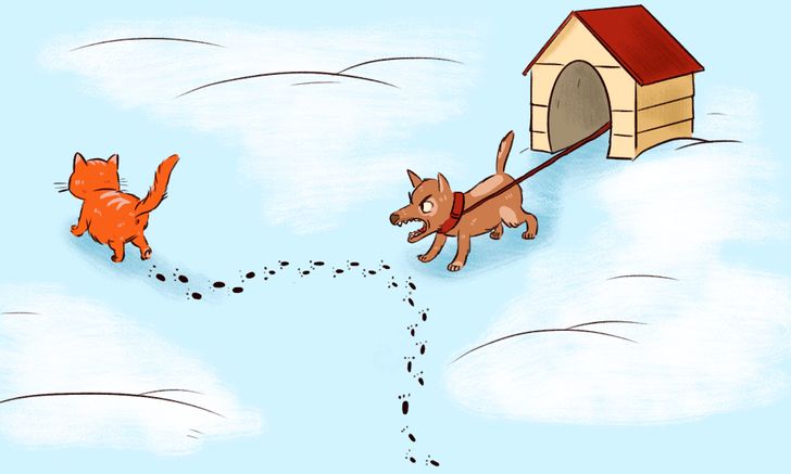 6cd4b55fe0becc1d8655834e5c