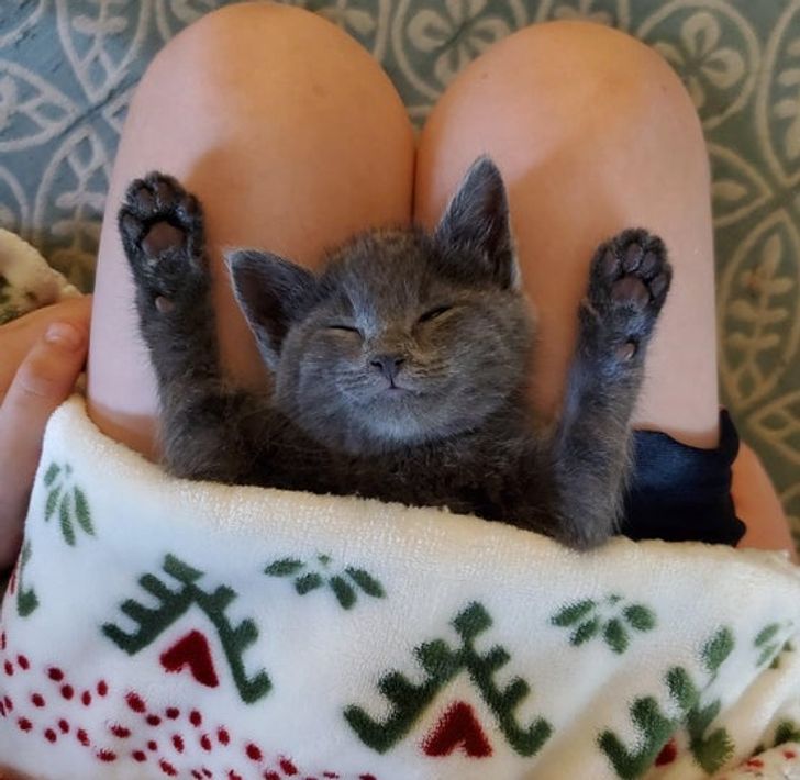 6cde795ca395001b3e3ac05ef8