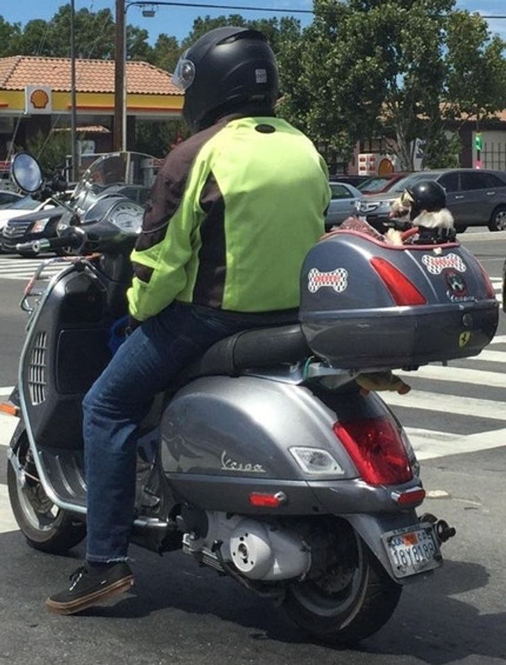 6cdf555ca3917623f1a14d9586